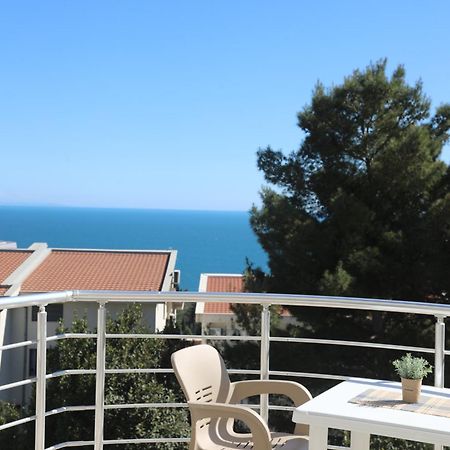 Villa Palace Ulcinj Zewnętrze zdjęcie